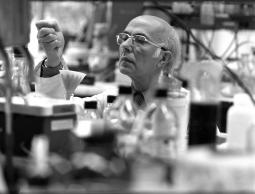 Renato Dulbecco, MD. Courtesy of the Salk Institute for Biological Studies.